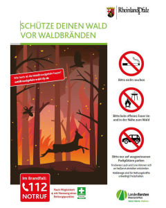 Waldbrandschild.png