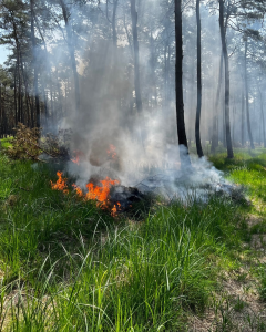 Waldbrand.png